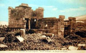 ALGERIE-RUINES ROMAINES DE TIGZIRT (14)